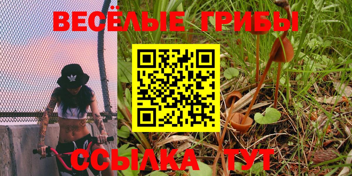 Псилоцибиновые грибы Magic Shrooms  закладки  Галлюциногенные грибы ЛСД  Саров  Вход с VPN 